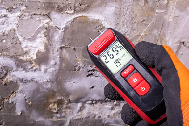 Best Emergency Mold Remediation in Dora, AL