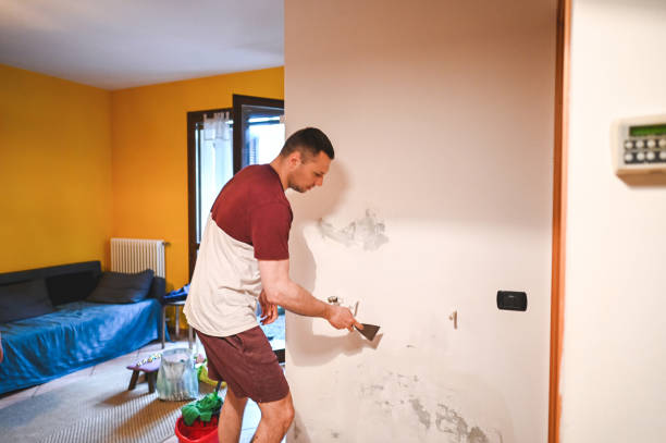 Best Bathroom Mold Remediation in Dora, AL